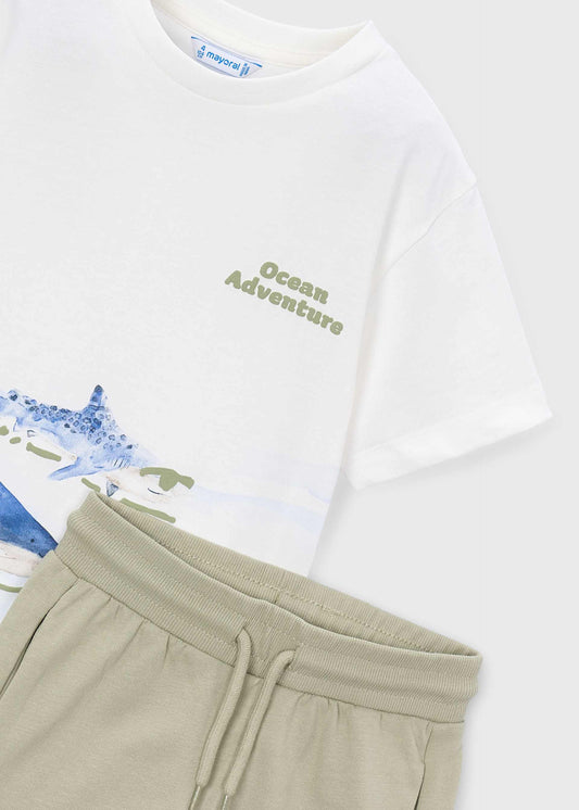 Shark knit Set boy