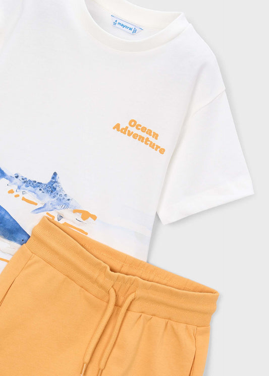 Shark knit Set boy