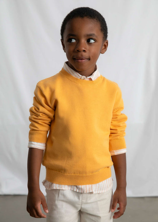 Jungen-Basis-Pullover