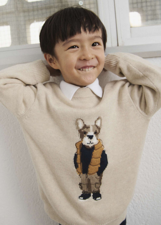 Jungen-Intarsienpullover