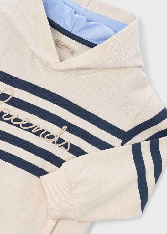 Hooded Striped Knit jumper boy