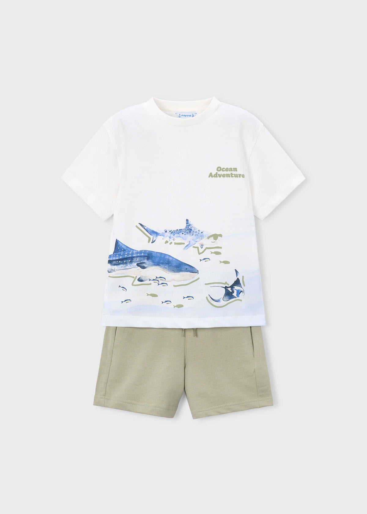 Shark knit Set boy