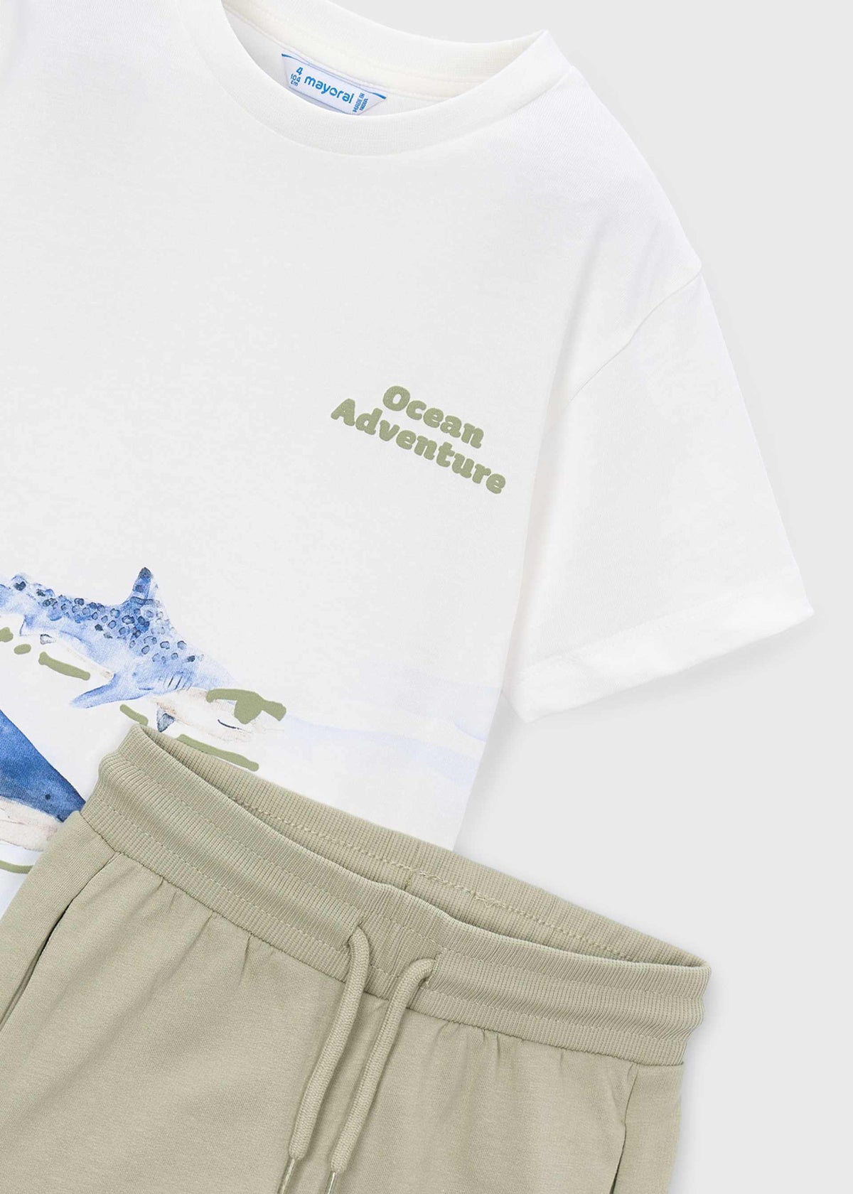 Shark knit Set boy