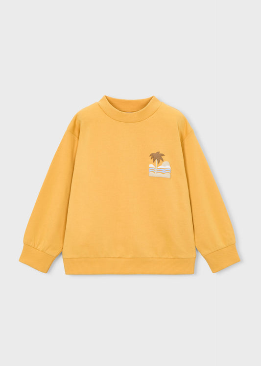 Sweatshirt boy